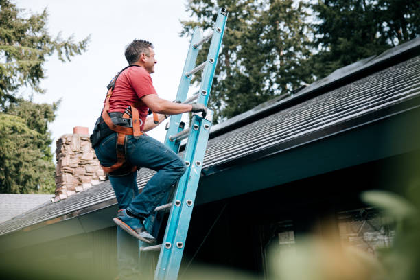 Asphalt Shingles Roofing in Hibbing, MN